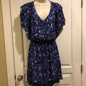 Express small silk dress